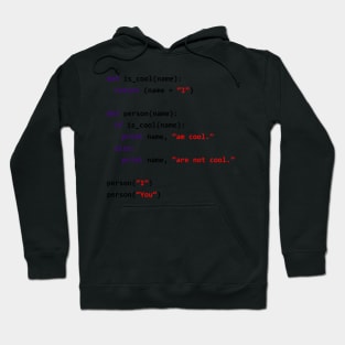 Cool Python Developer | Witty Programmer Hoodie